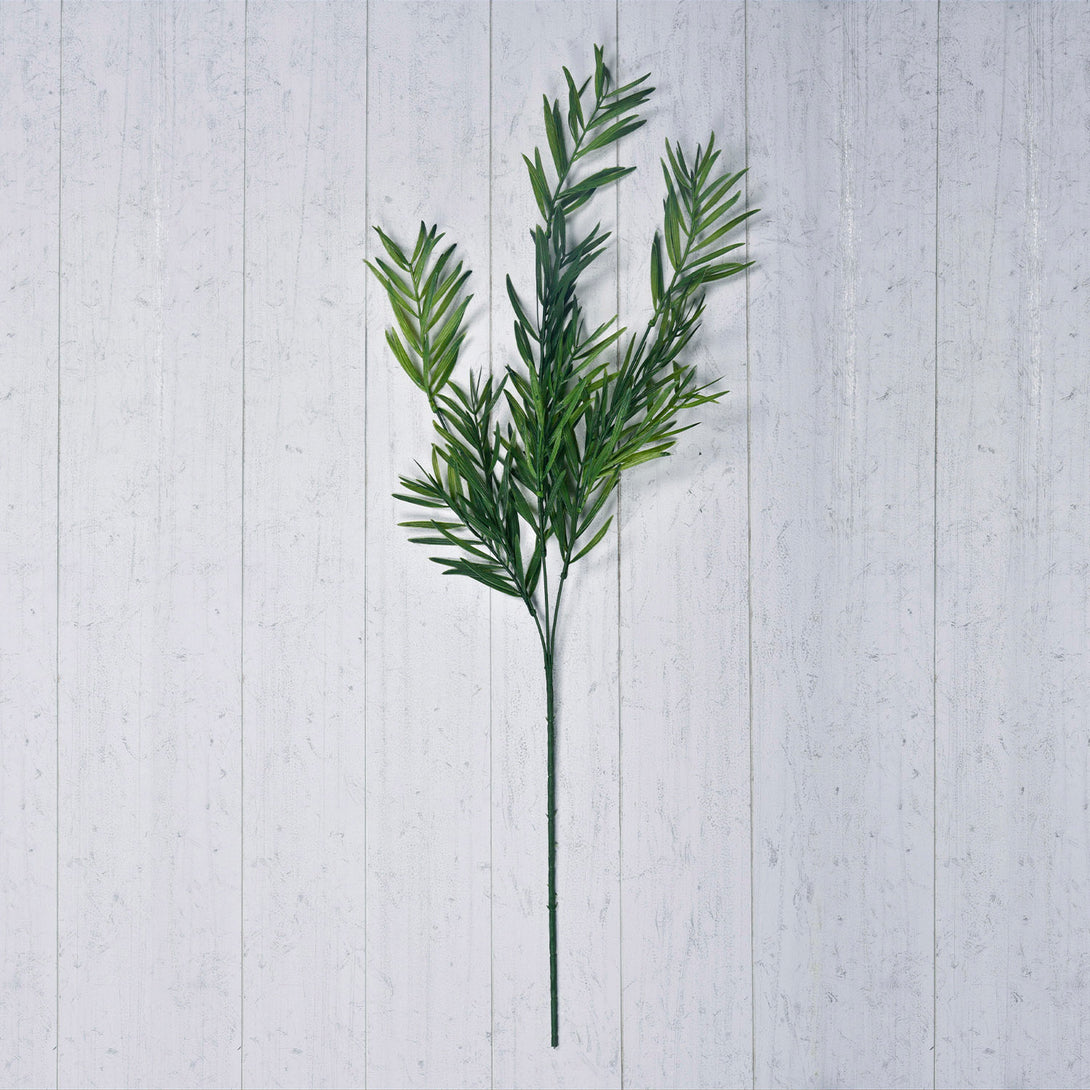 Shop Asparagus Faicatus Spray at Best Price Online in India