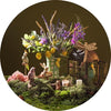 Spring | Home Decor