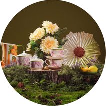 Spring I Kitchen & Dining