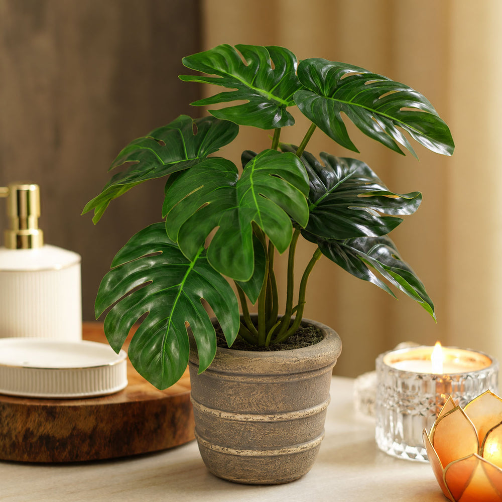 Green Faux Monstera with Pot