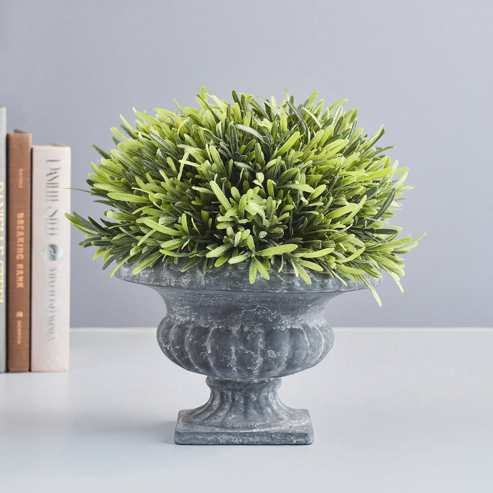 Potted Rosemary Topiary