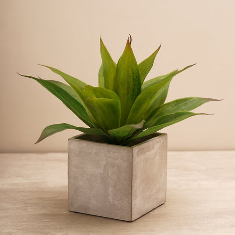 Green Faux Aloe Plant With Cement Pot