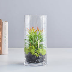 Mixed succulent in glass bottle