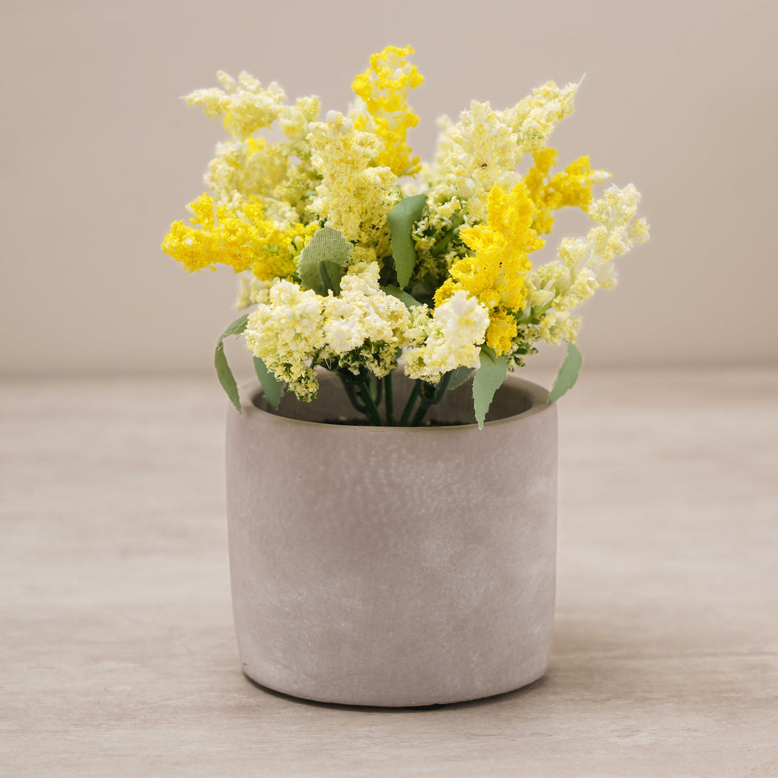 Shop Yellow Faux Lavender Plant With Cement Pot at Best Price Online