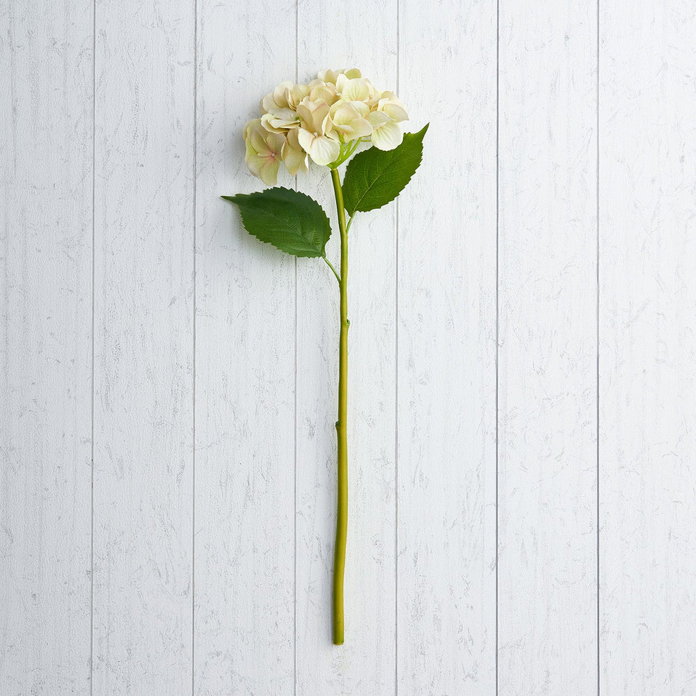 Hydrangea Pink W/2 LVS