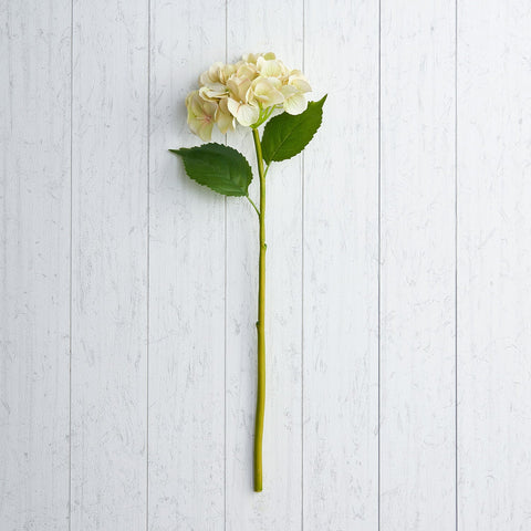 Hydrangea Pink W/2 LVS