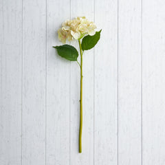 Hydrangea Pink W/2 LVS