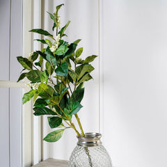 Cream Camillia And Berry Spray