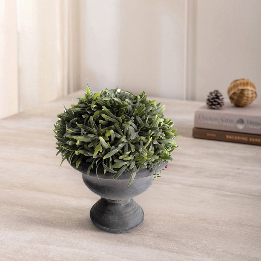 Rosemary In Paper Mache Urn