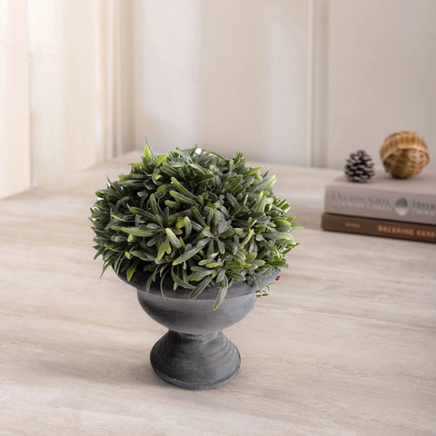Rosemary In Paper Mache Urn