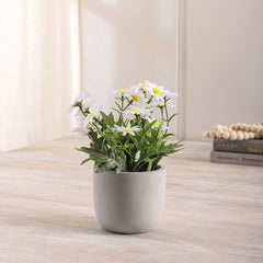 Wild Flowers In Cement Pot