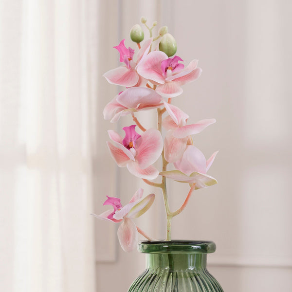 Shop Flower Stem online at Best Price