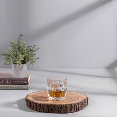 Set Of 6 Transparent Clear Safari Glass Tumbler