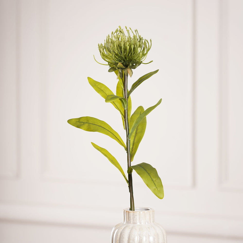 Single Protea Green Spray