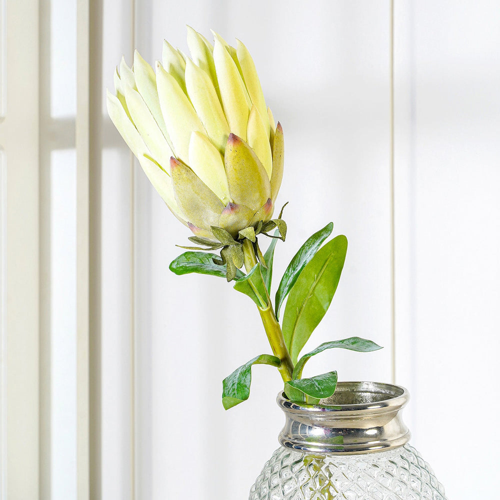 Green King Protea Spray