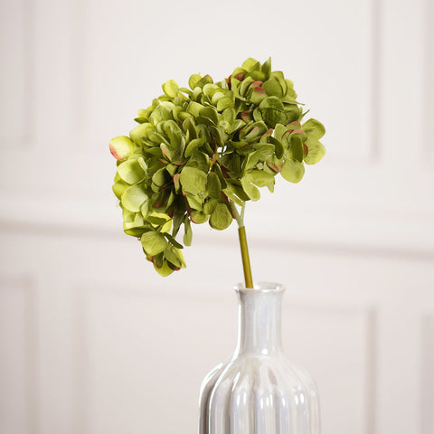 Hydrangea Spray, Green