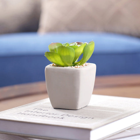 Set of 2 Potted Green Cactus