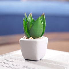 Set Of 4 Potted Green Cactus