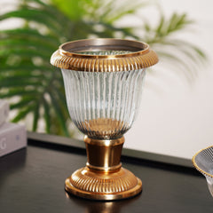 Sara Hurricane Gold/Clear