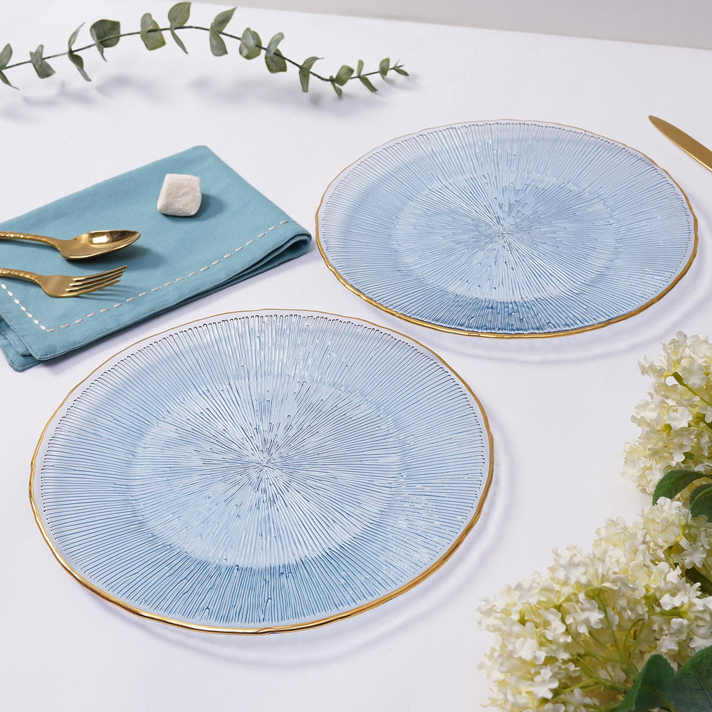 Set Of 2 Light Blue Radial Glass Dinner Plates