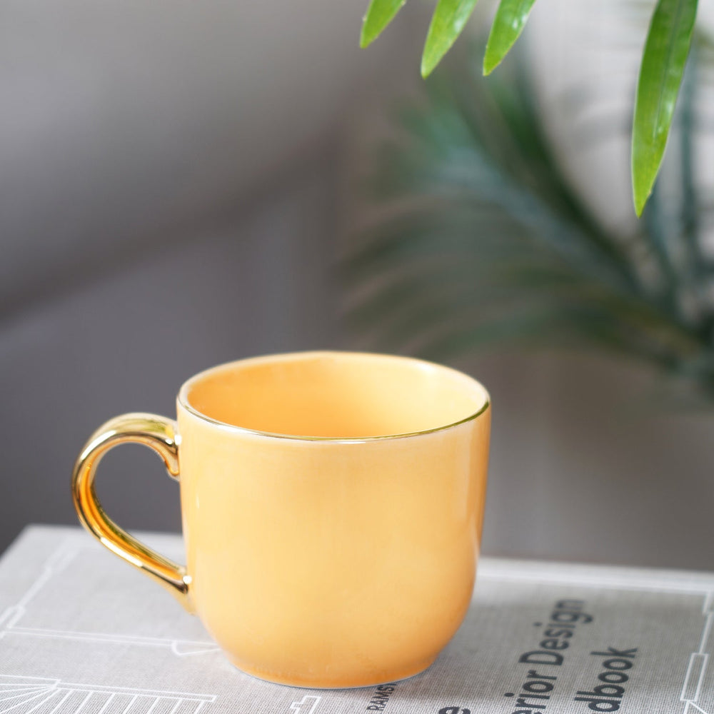 Set Of 2 Orange Porcelain Coffee Mug